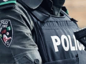 472fbfa6 Nigerian Police